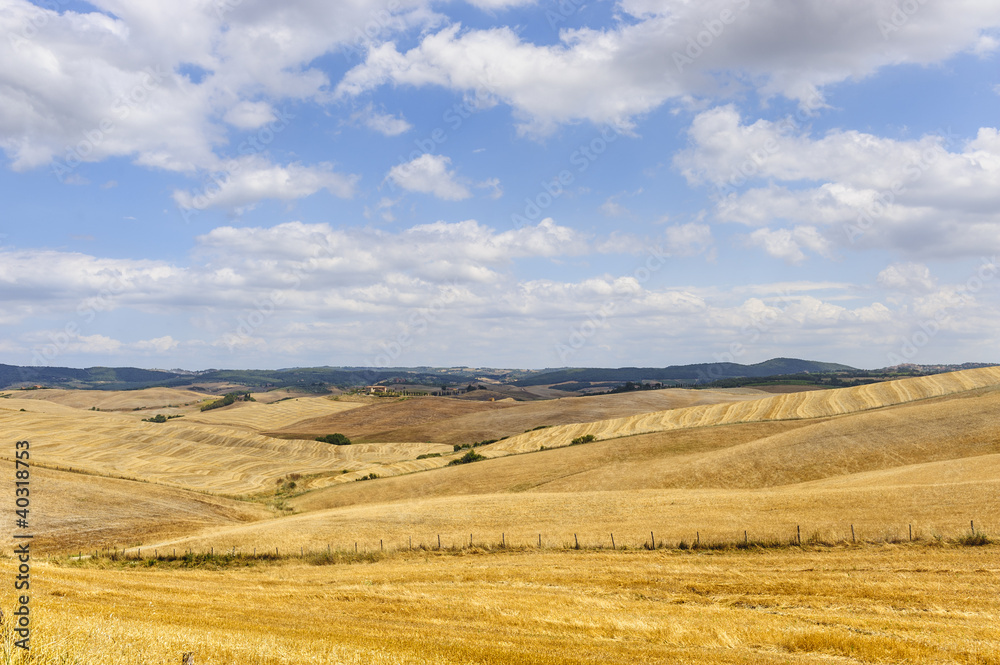 Fototapeta premium Farm in Val d'Orcia (Tuscany)