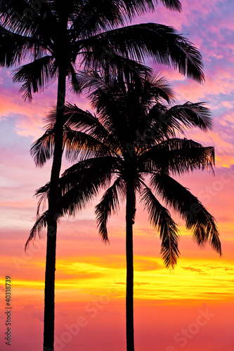 palmy na tle pięknego zachodu słońca - - Tapety - r - #40318739 |  Obrazyfoto.eu