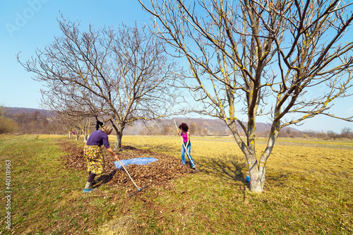 Mother and daughter working in an orchard