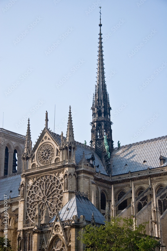 Obraz premium Notre Dame de Paris