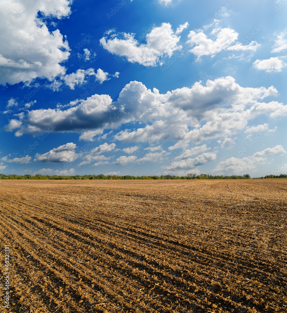 black ploughed field under deep blue sky with clouds black ploughed field under deep blue sky with clouds