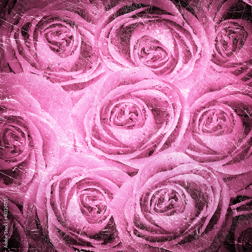 valentine's background with roses