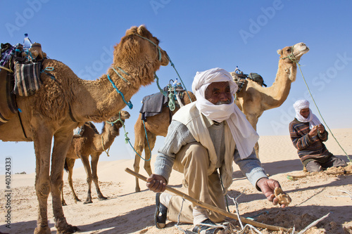 Sahara : Recherche de roses des sables photo