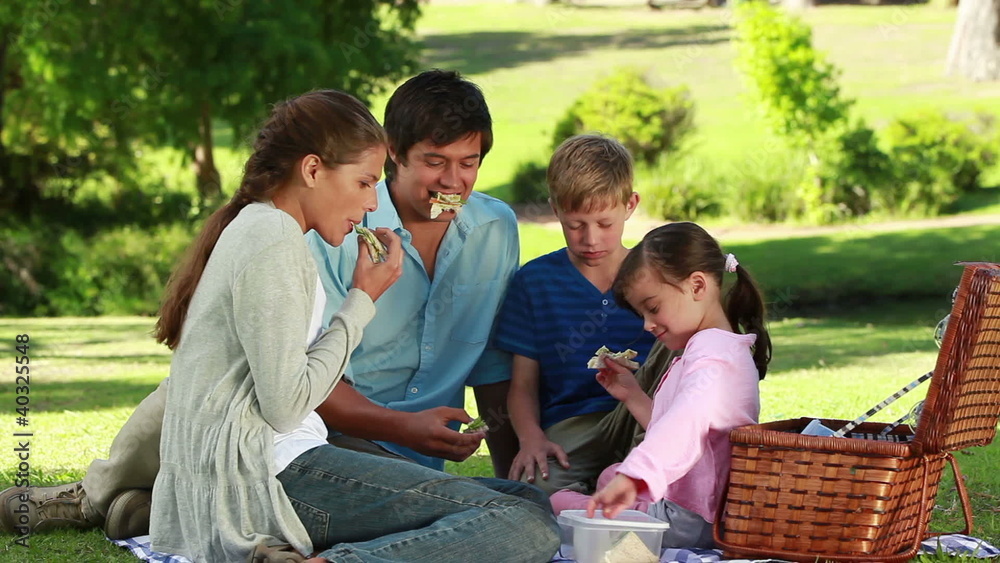 Family eating sandwiches during a picnic Family eating sandwiches during a picnic