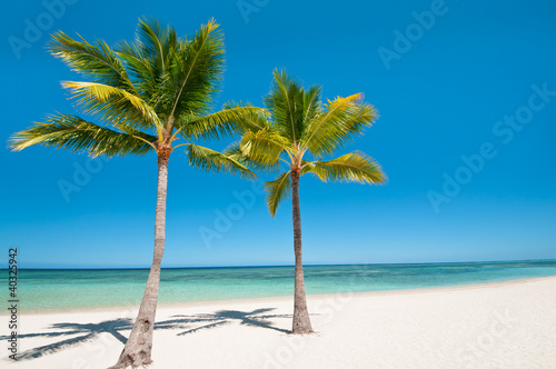 Palms and beach on tropical island © NilsZ