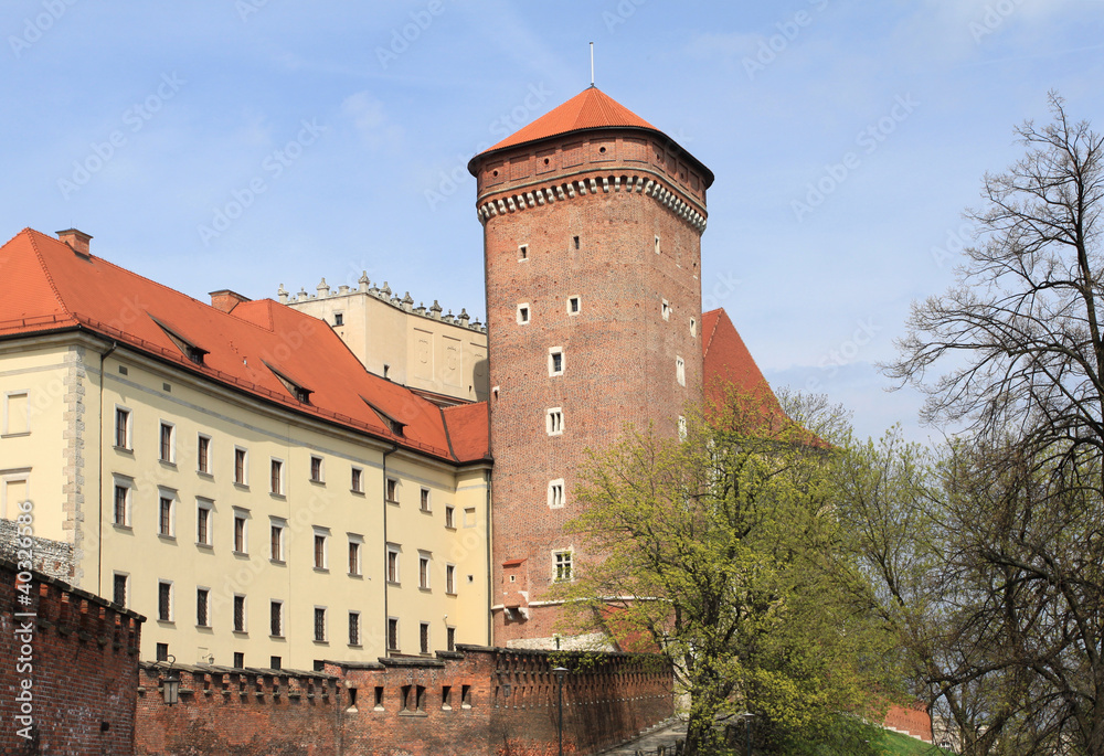 Wawel in Cracow
