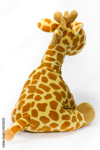 giraffe on white