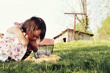 Child Watching Chicks
