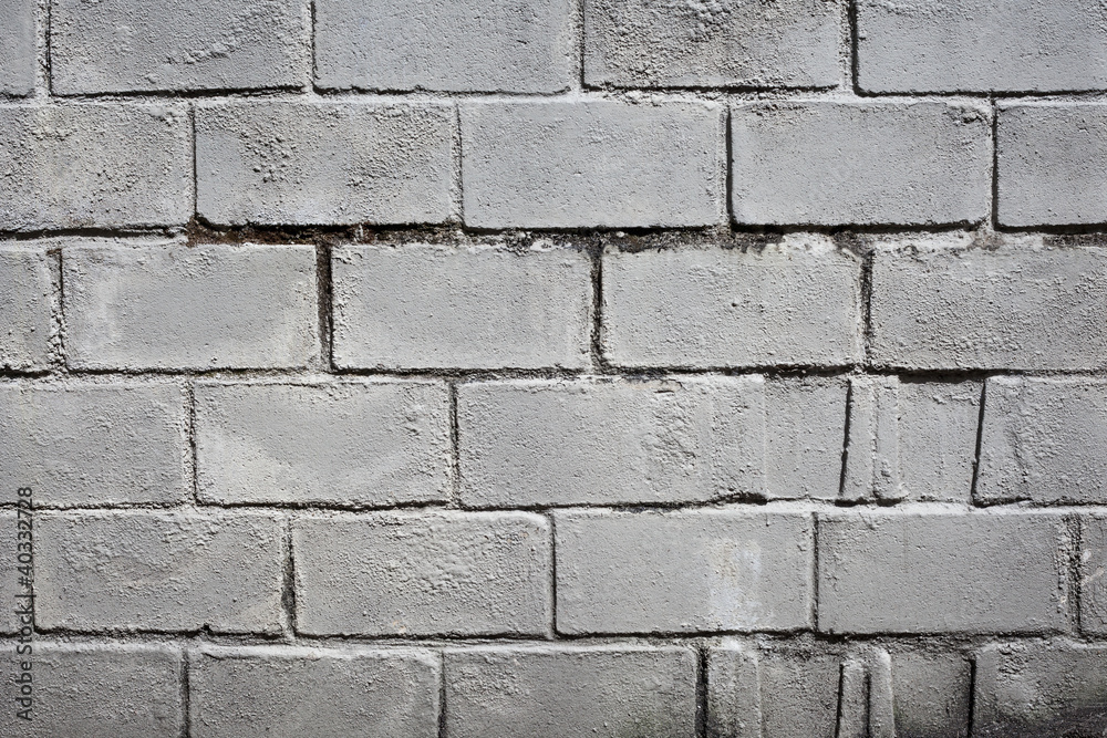 Obraz premium Brick Wall