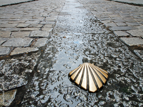simbolo del camino de santiago,burgos,españa