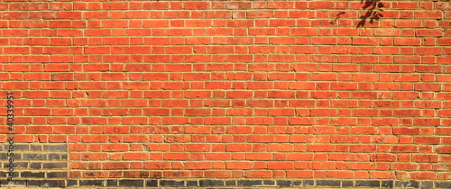 Old orange wall with tree shadow