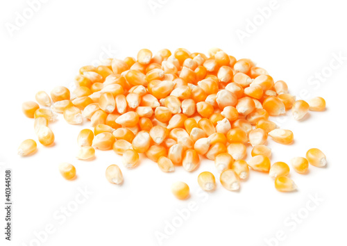 Corn seed isolated on white