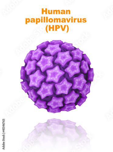 Human papillomavirus (HPV).