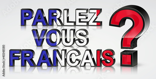 "Parlez-vous français?" 3D