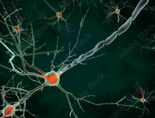Cell body of a neuron long shot