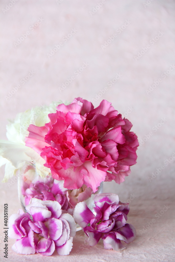 Obraz premium Carnations