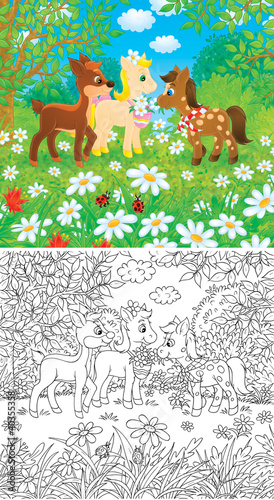 Fototapeta Naklejka Na Ścianę i Meble -  Little Ponies and Fawn