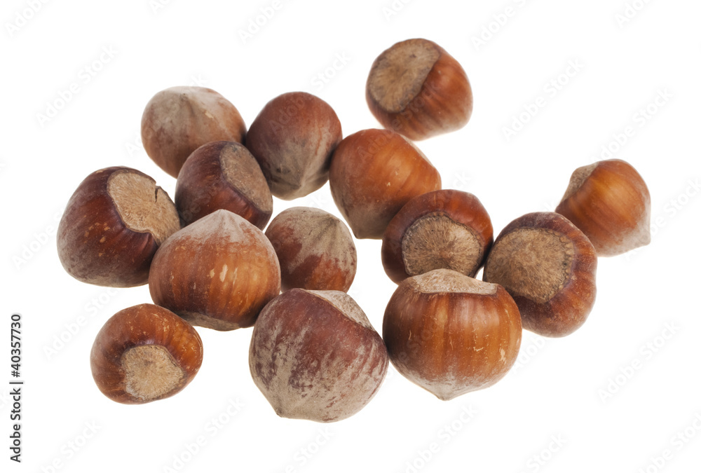 Heap of hazelnuts