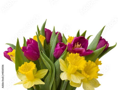 Fototapeta Naklejka Na Ścianę i Meble -  spring bouquet