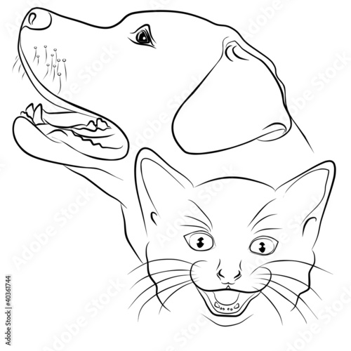 cat and dog on white background, vector illustration