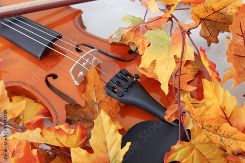 Teilausschnitt einer Violine im Herbst