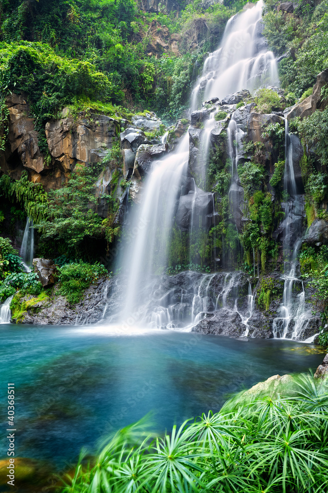 Fototapeta premium Wodospad dorzecza Aigrettes - wyspa Reunion