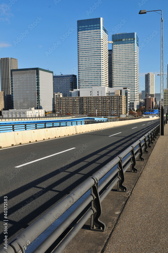 Fototapeta premium Bridge in Tokyo, Japan