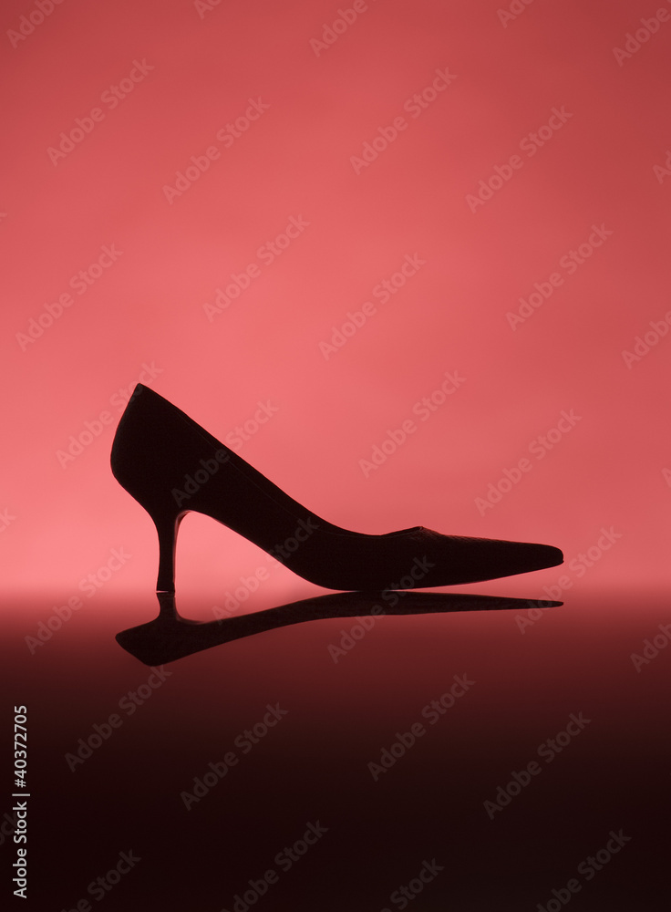 Female shoe Female shoe