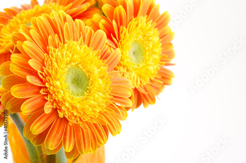 オレンジ色のガーベラの花束