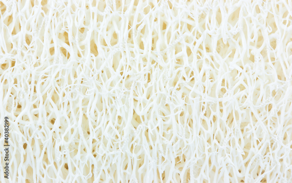 close up of fiber organic  texture