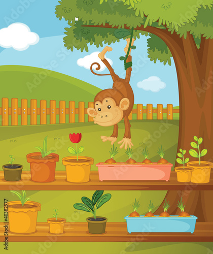 monkey in garden © GraphicsRF