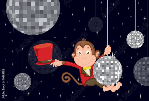 Photography Disco monkey