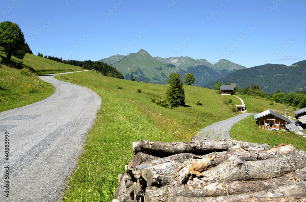 Road in the Alps mountains near Morzine in France Road in the Alps mountains near Morzine in France