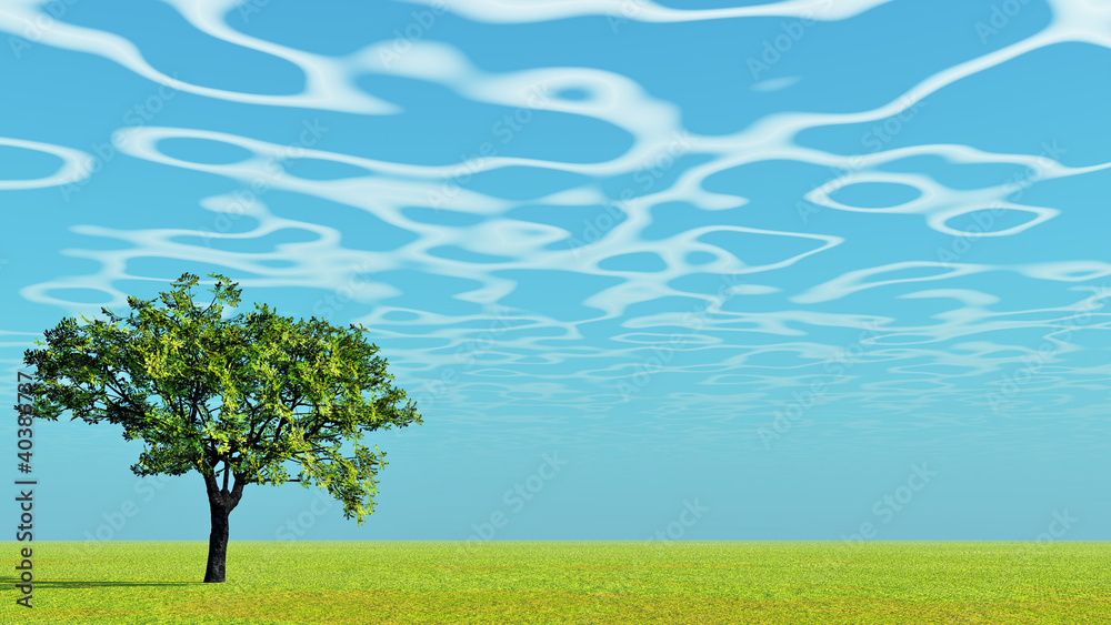 Fototapeta premium Tree