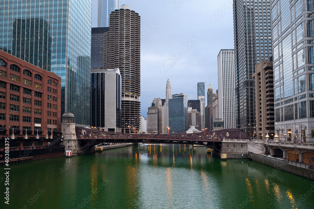 Fototapeta premium Chicago.