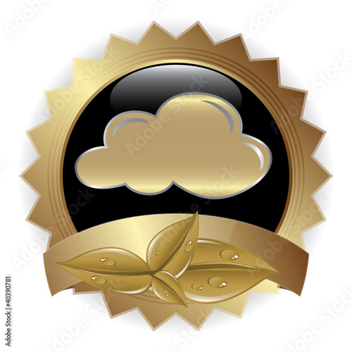 CLOUD ICON