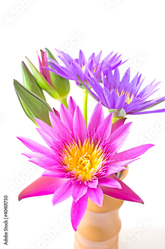 Lotus flower in a vase isolated on white background