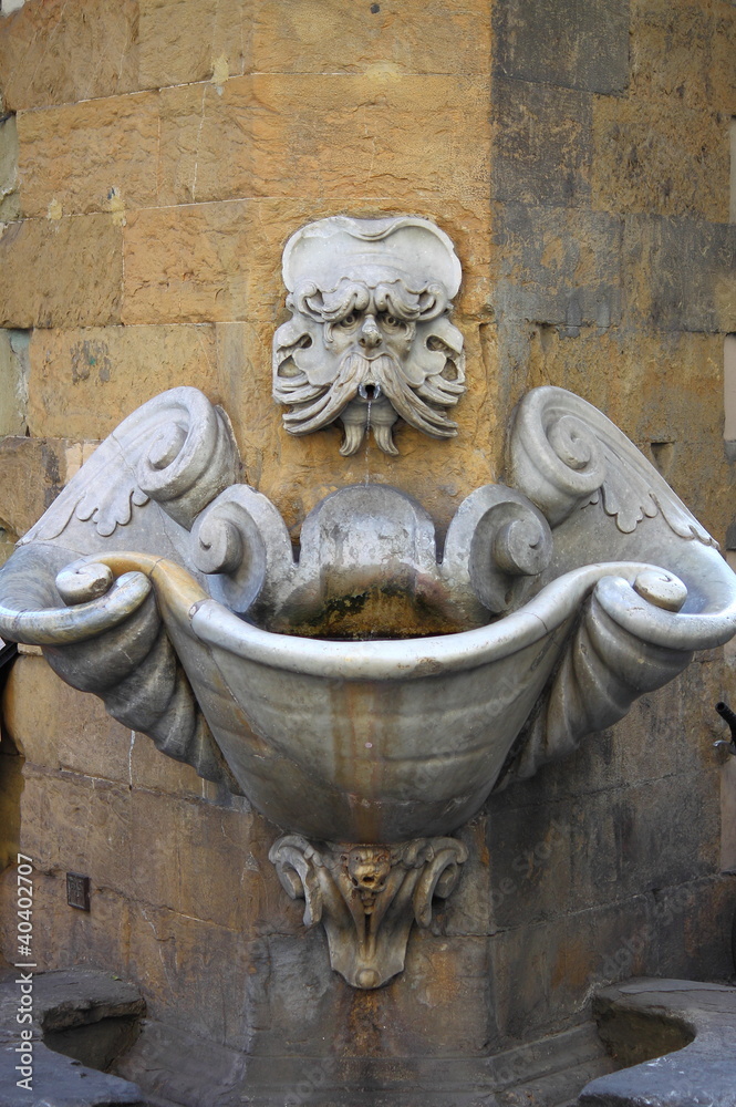 Renaissance fountain