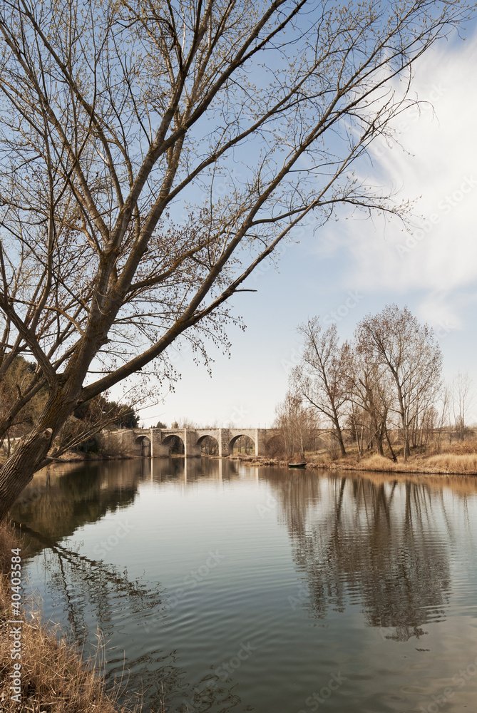 Stone bridge over river with leafless trees Stone bridge over river with leafless trees