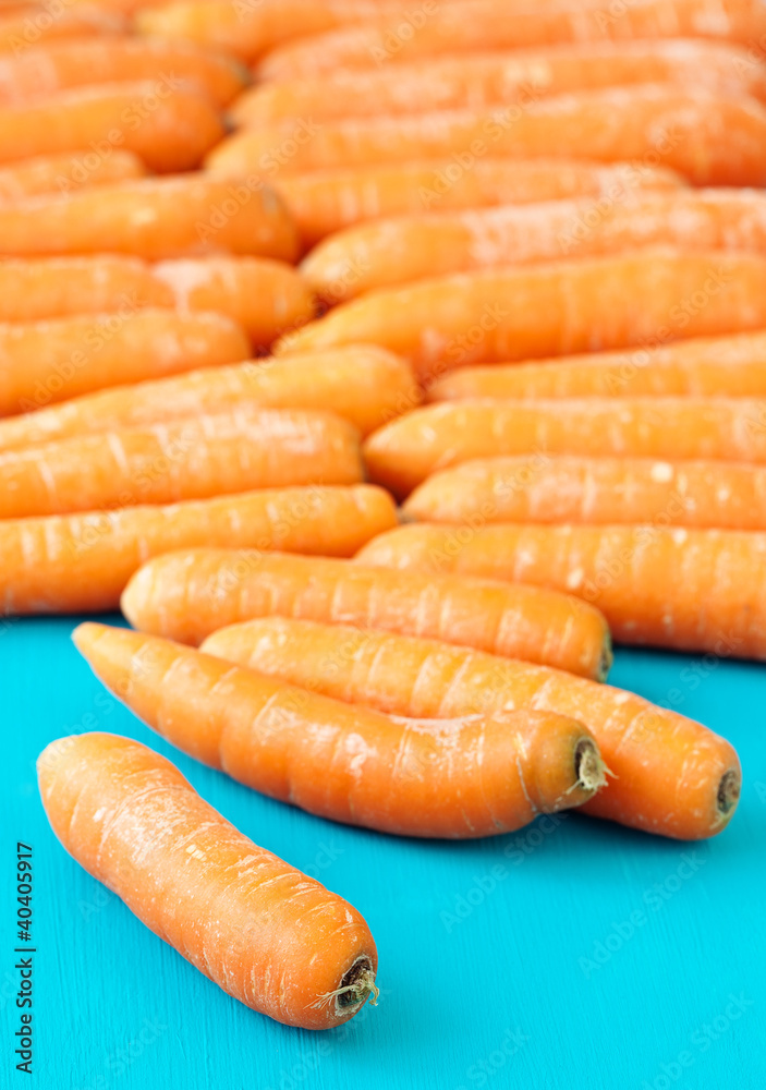 lots of fresh carrot on a blue background lots of fresh carrot on a blue background