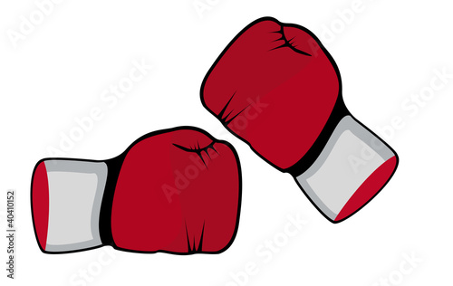 Boxhandschuhe