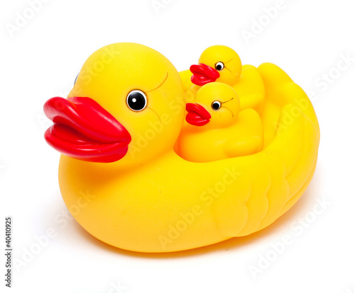 rubber ducks isolated on white