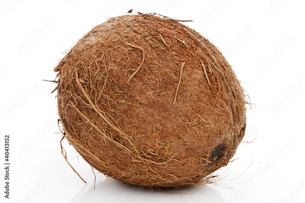 Coconut isolated. Coconut isolated.