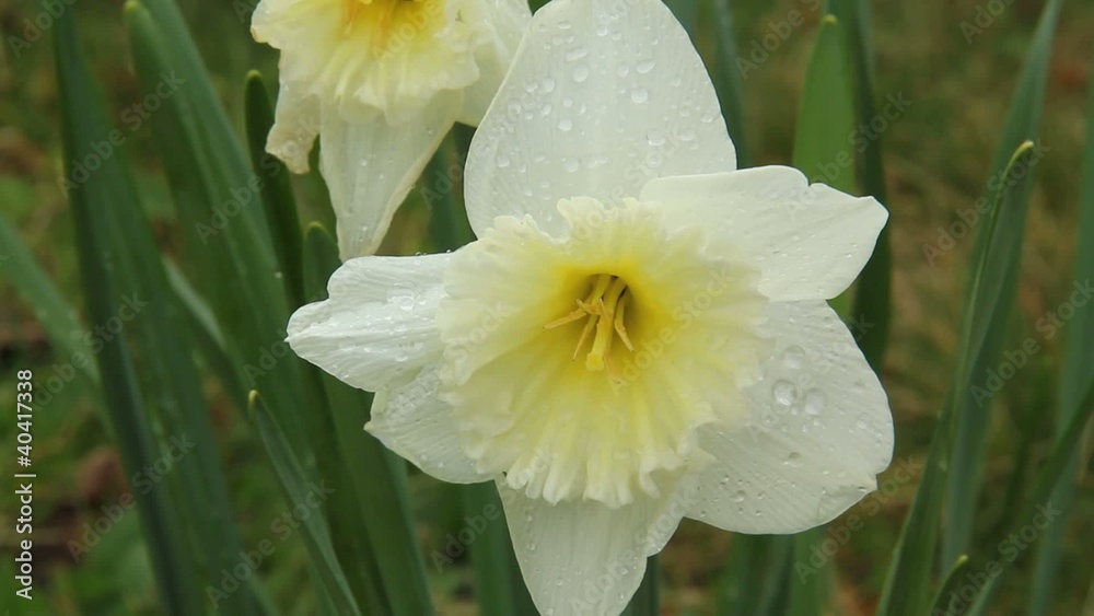Frühlingserwachen Frühlingserwachen
