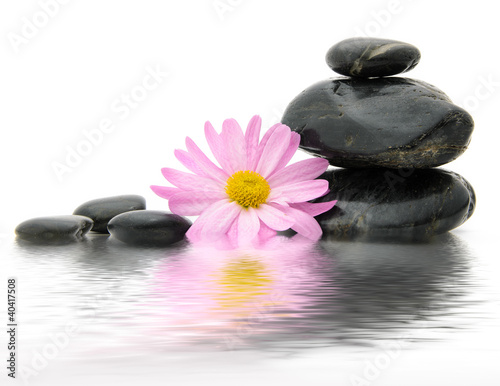 Spa Stones and Flower