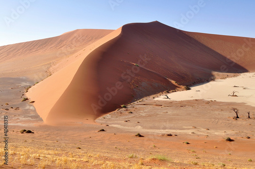 part Hiddenwlei in Namib desert