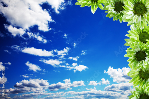 Spring day with nice and fresh flowers