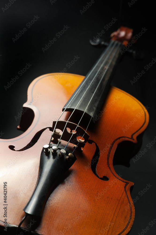 Fototapeta premium Violin against the dark background
