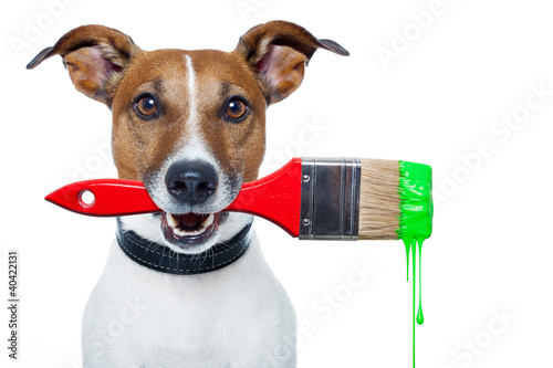 dog as a painter with a brush and color © Javier brosch