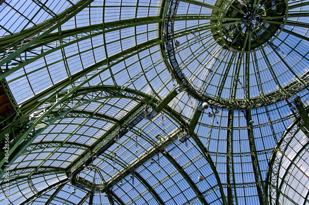 Obraz premium Szklany dach i kopuła Grand Palais, Paryż, Francja.